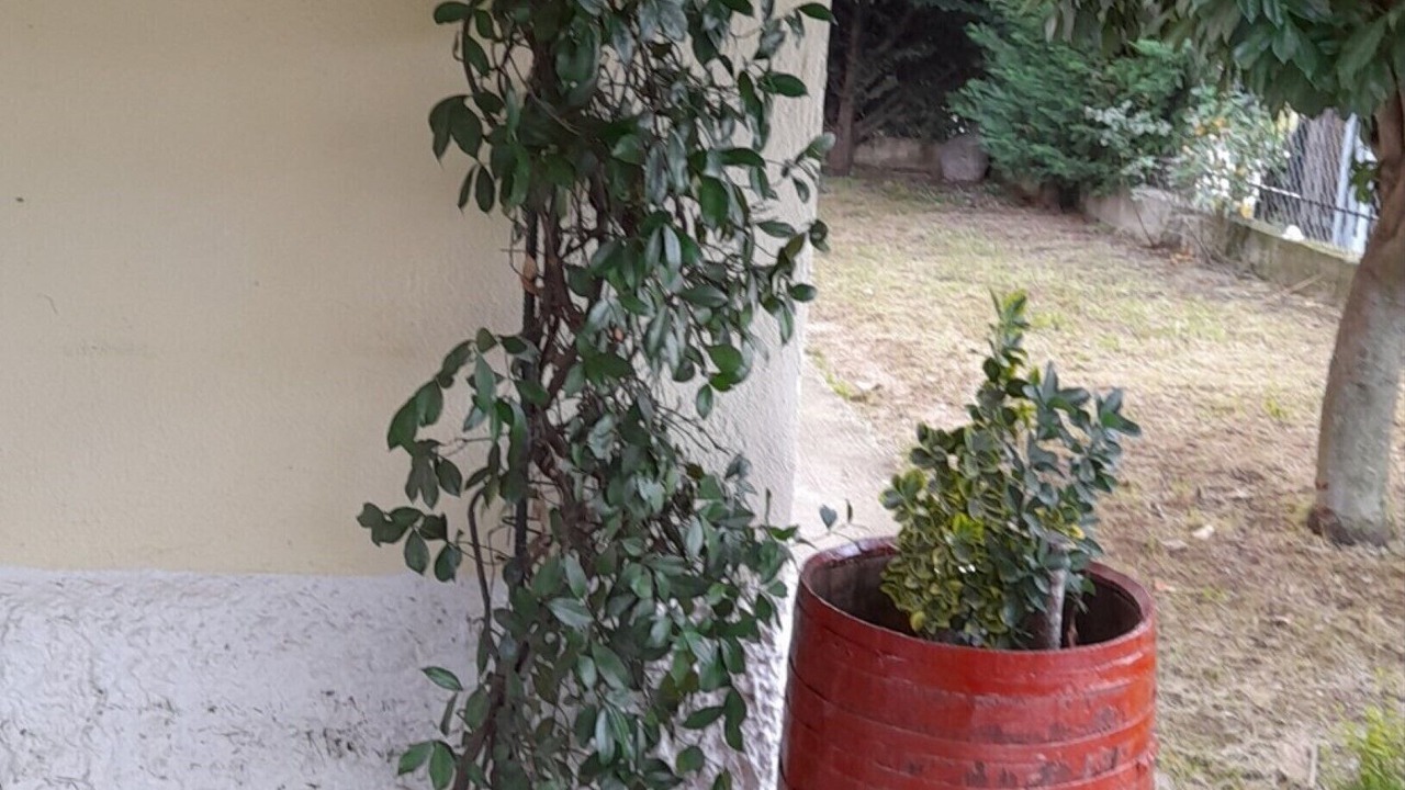 Photo of Outdoor in Trikala