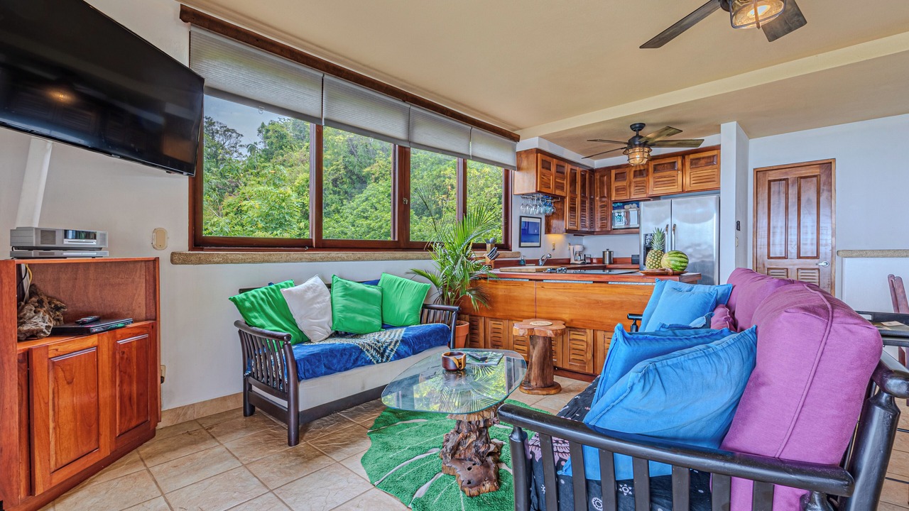 Photo of Livingroom in Dominical