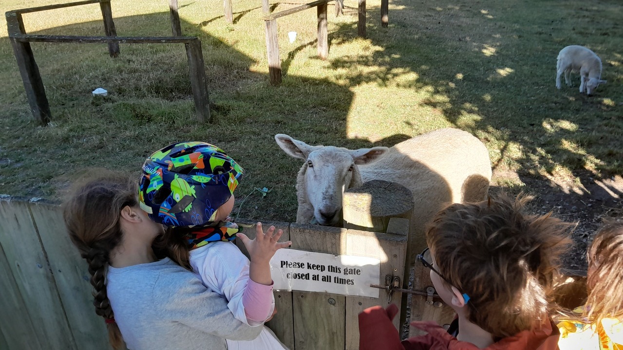 Photo of Outdoor in Waipiata