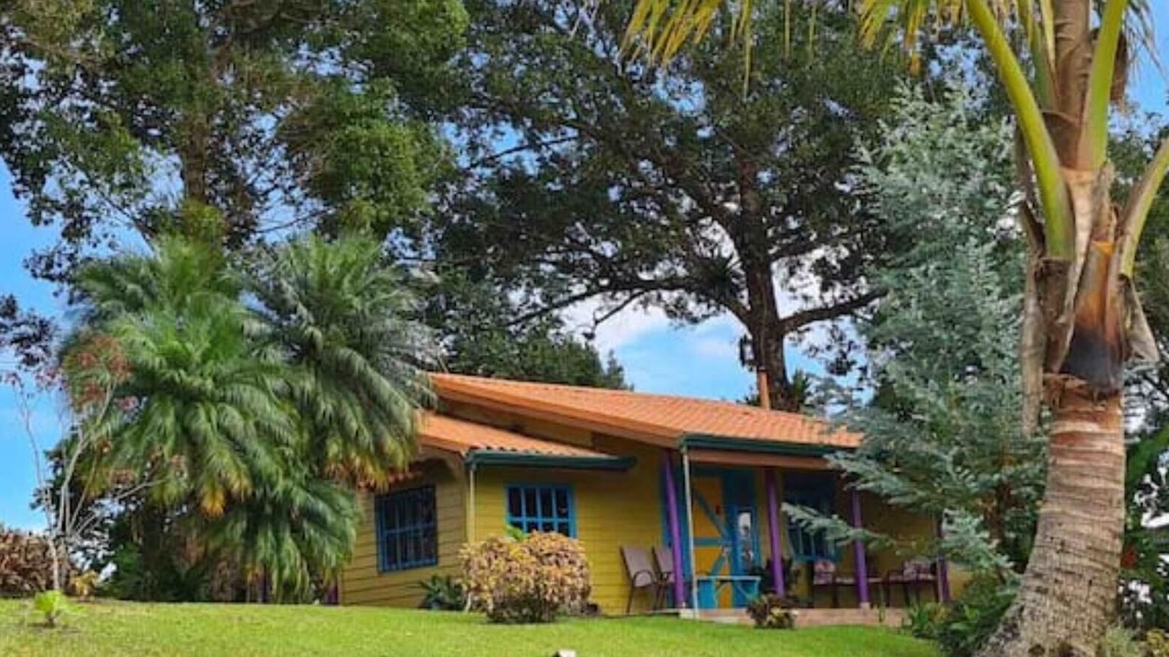 Photo of Outdoor in Colonia del Toro