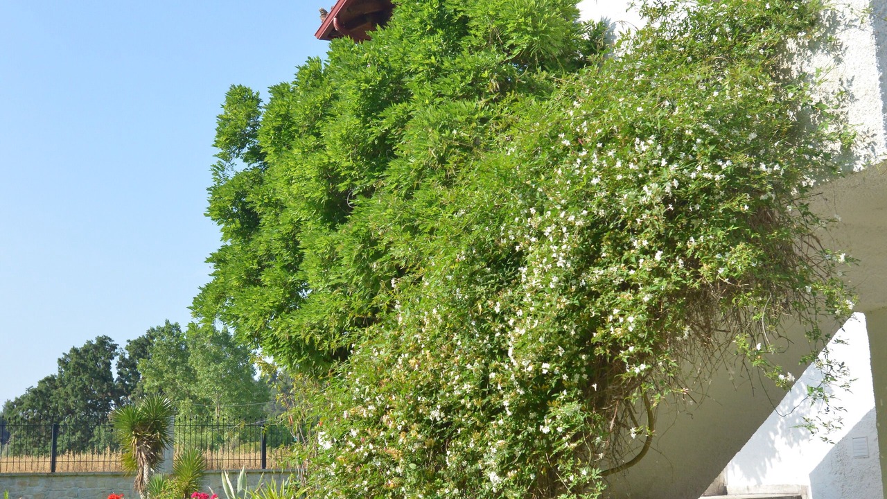 Photo of Outdoor in Siviri