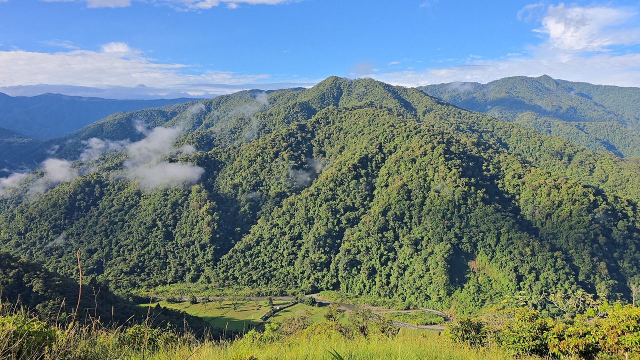 Photo of Others in Pacuare Reserve