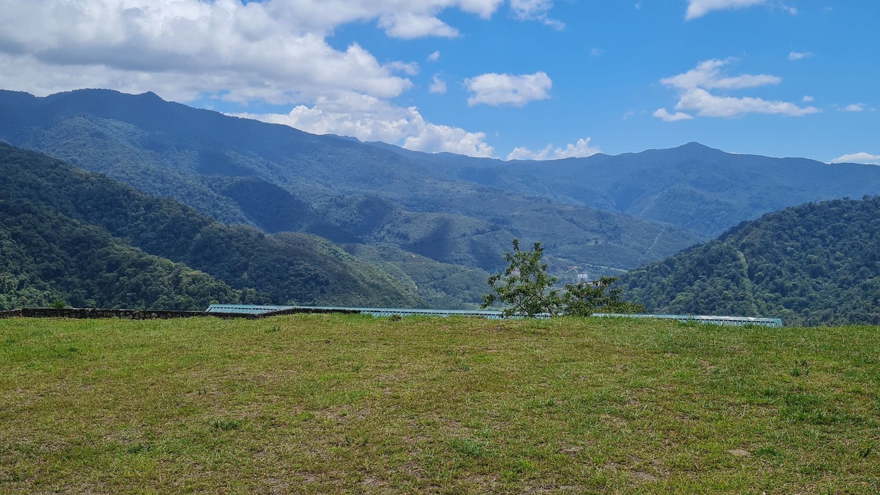Photo of Others in Pacuare Reserve