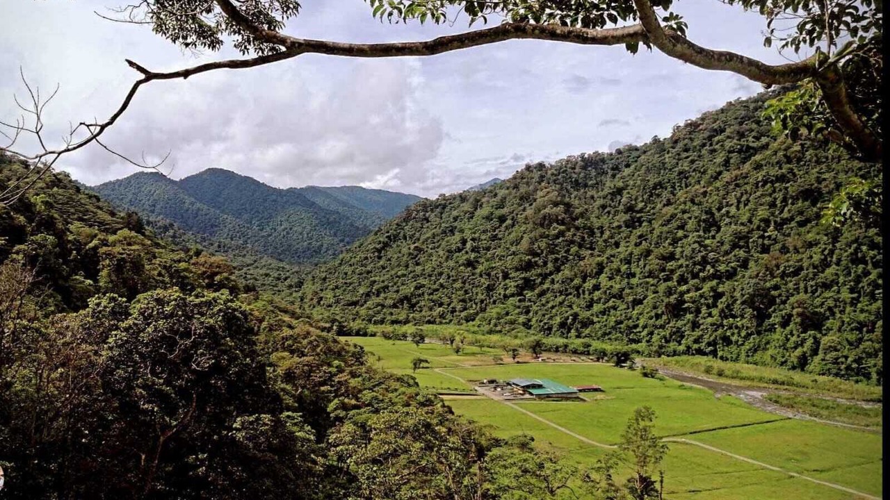Photo of Outdoor in Pacuare Reserve