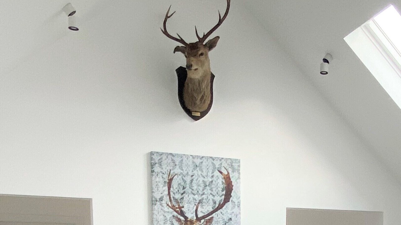 Photo of Others in Spean Bridge