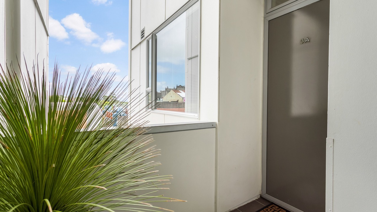 Photo of Outdoor in Mount Eden