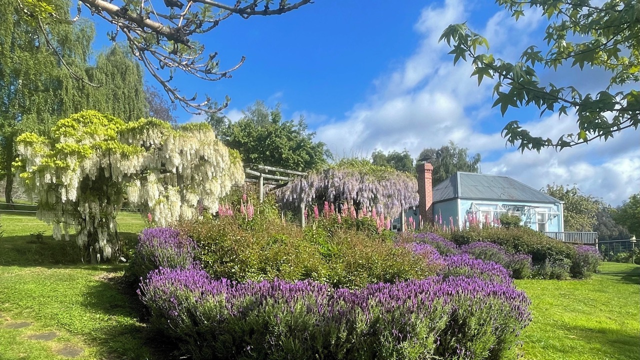 Photo of Outdoor in Castle Forbes Bay