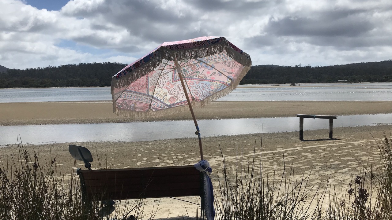 Photo of Others in Dolphin Sands