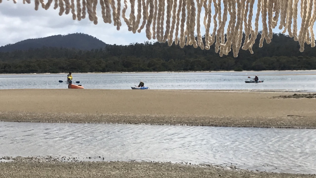 Photo of Others in Dolphin Sands