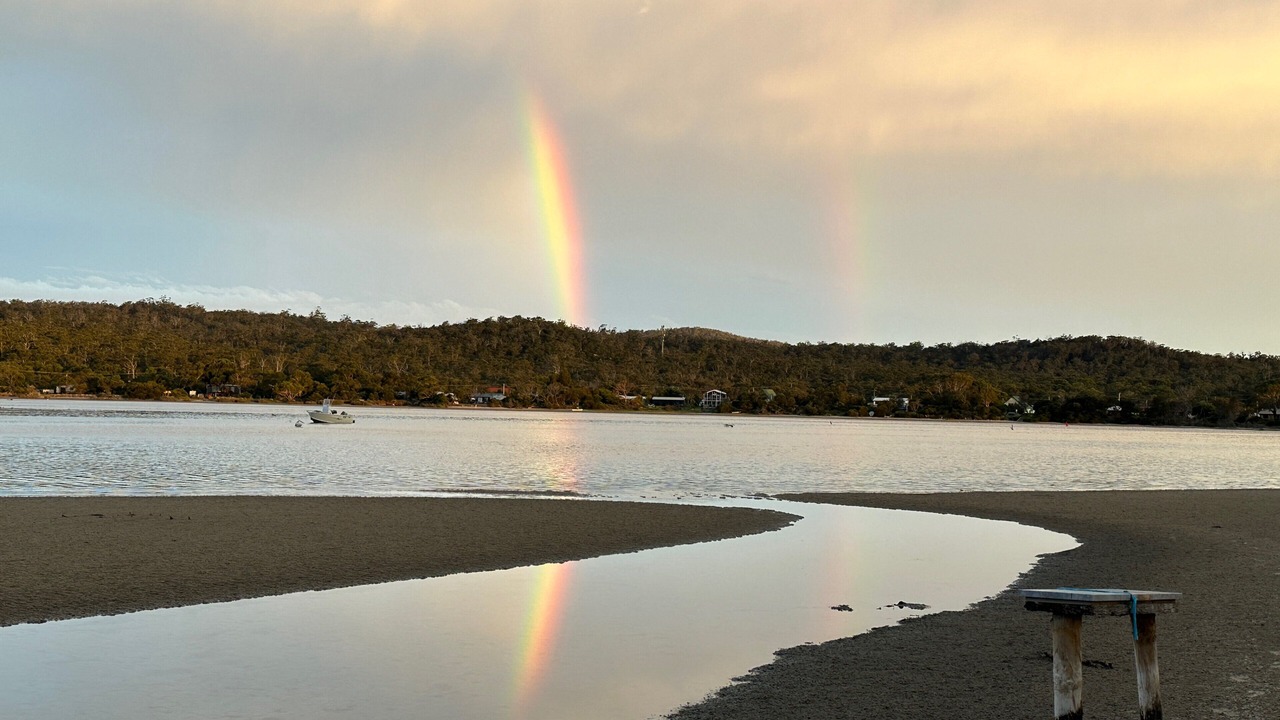 Photo of Others in Dolphin Sands