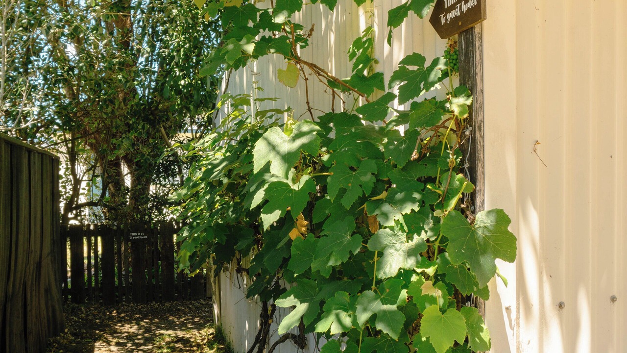 Photo of Outdoor in Pukehina
