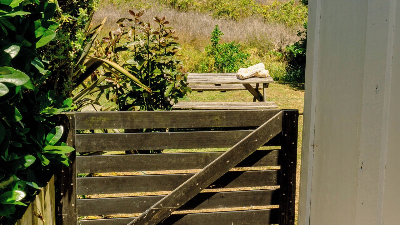 Photo of Outdoor in Pukehina