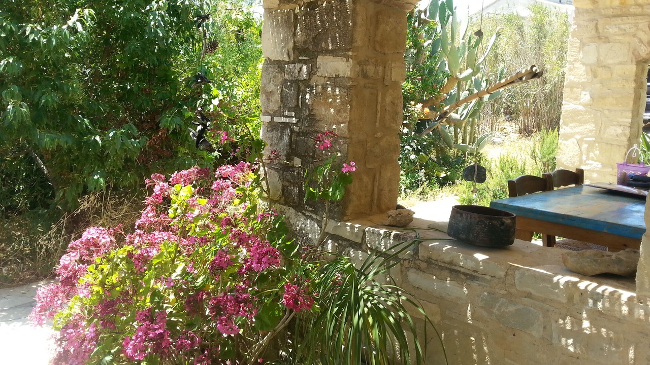 Photo of Outdoor in Pitsidia