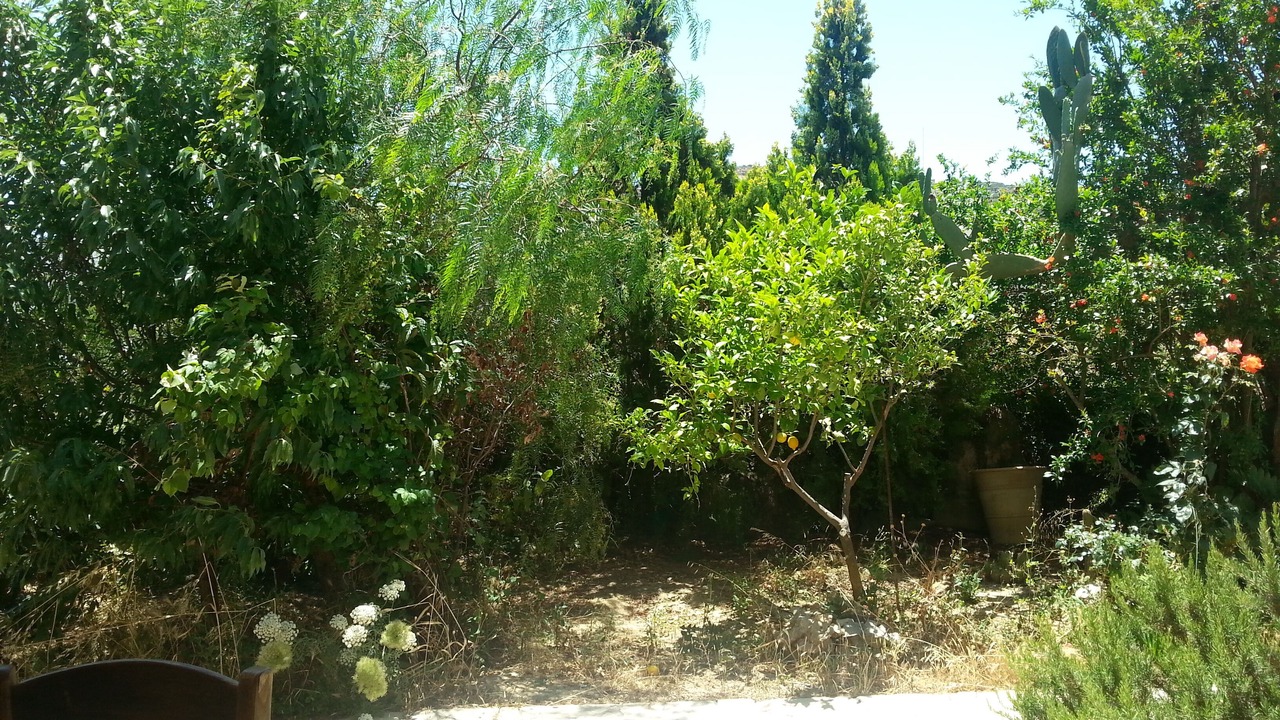 Photo of Outdoor in Pitsidia
