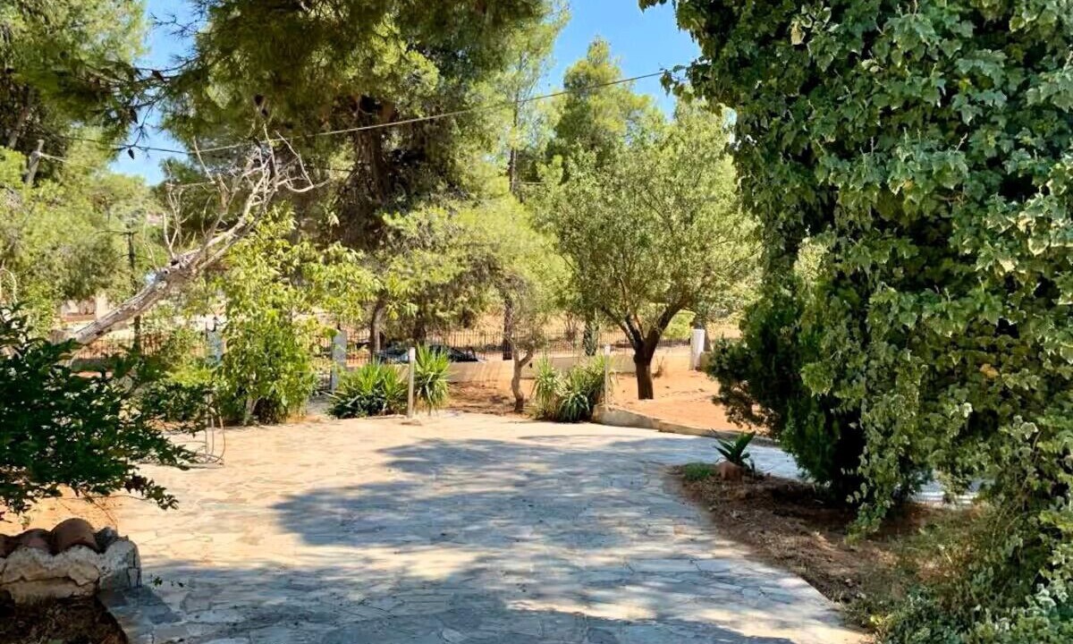 Photo of Outdoor in Mandra-Eidyllia