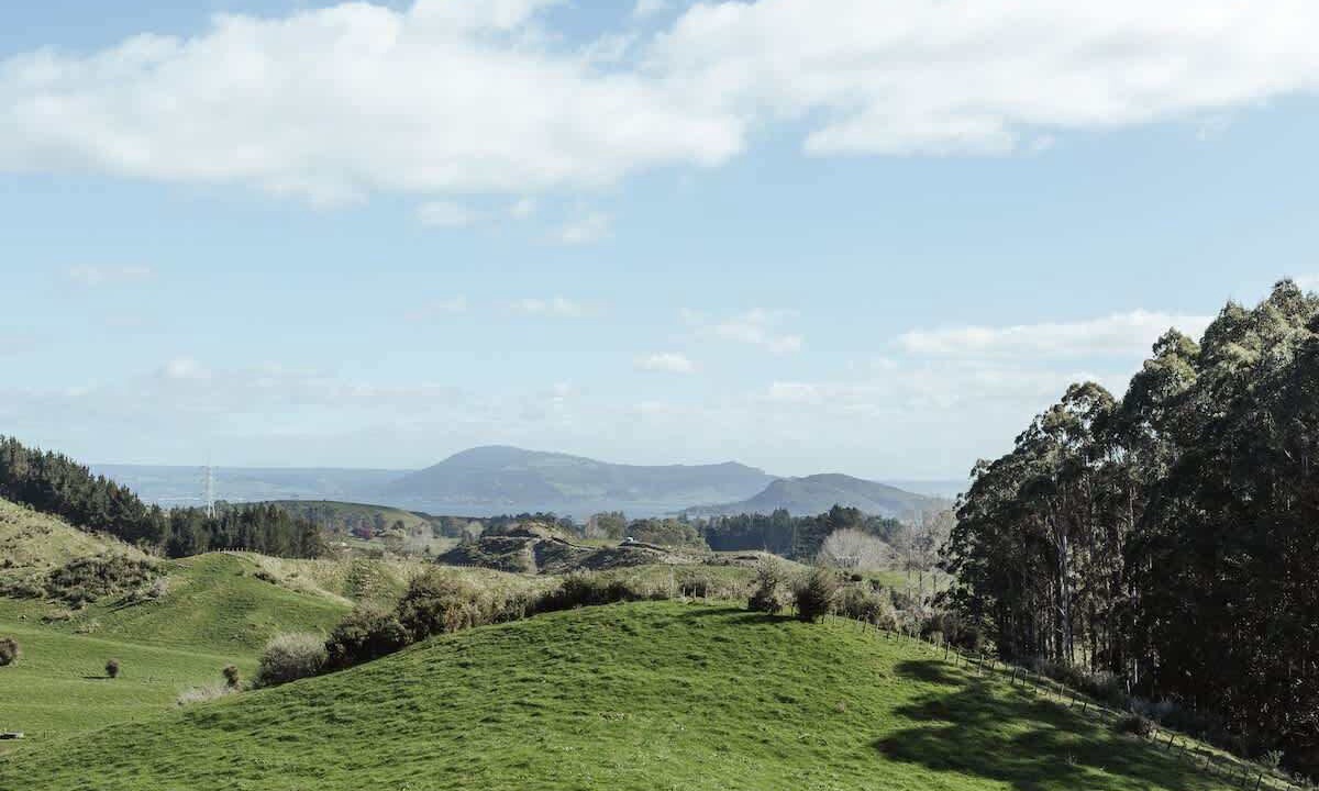 Photo of Outdoor in Tikitere