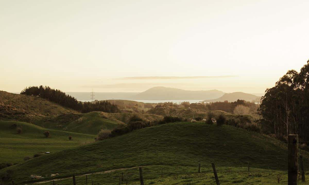 Photo of Outdoor in Tikitere