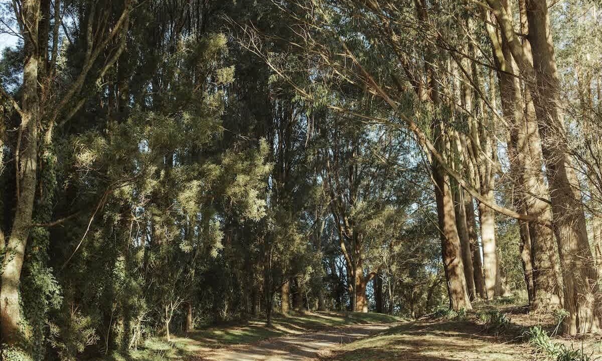 Photo of Outdoor in Tikitere
