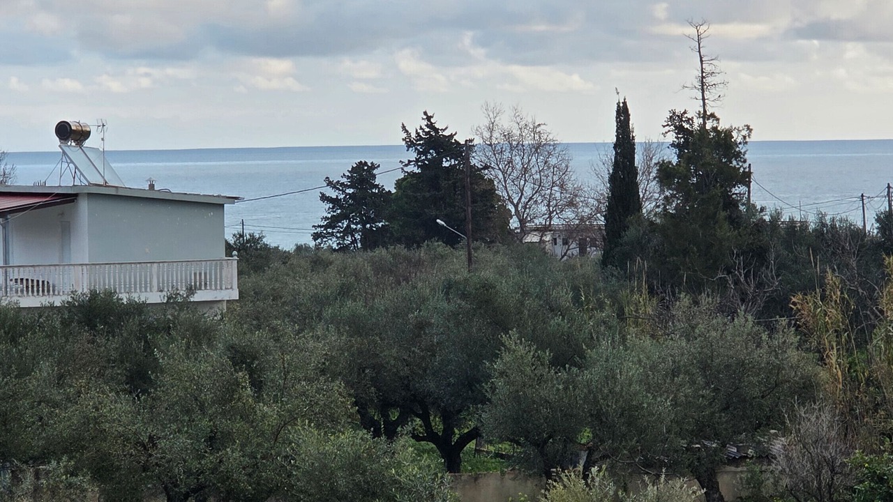 Photo of Others in Alikanas