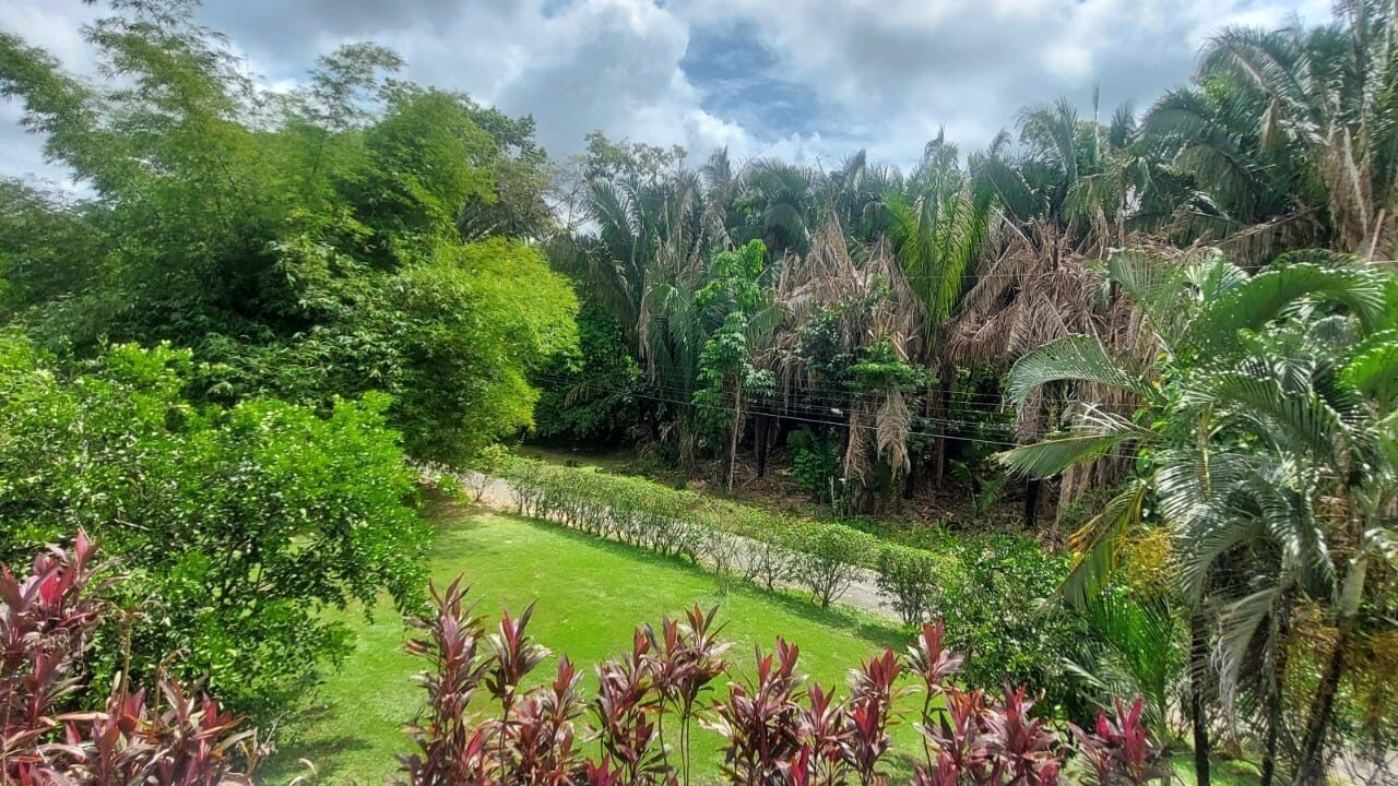 Photo of Others in Quepos