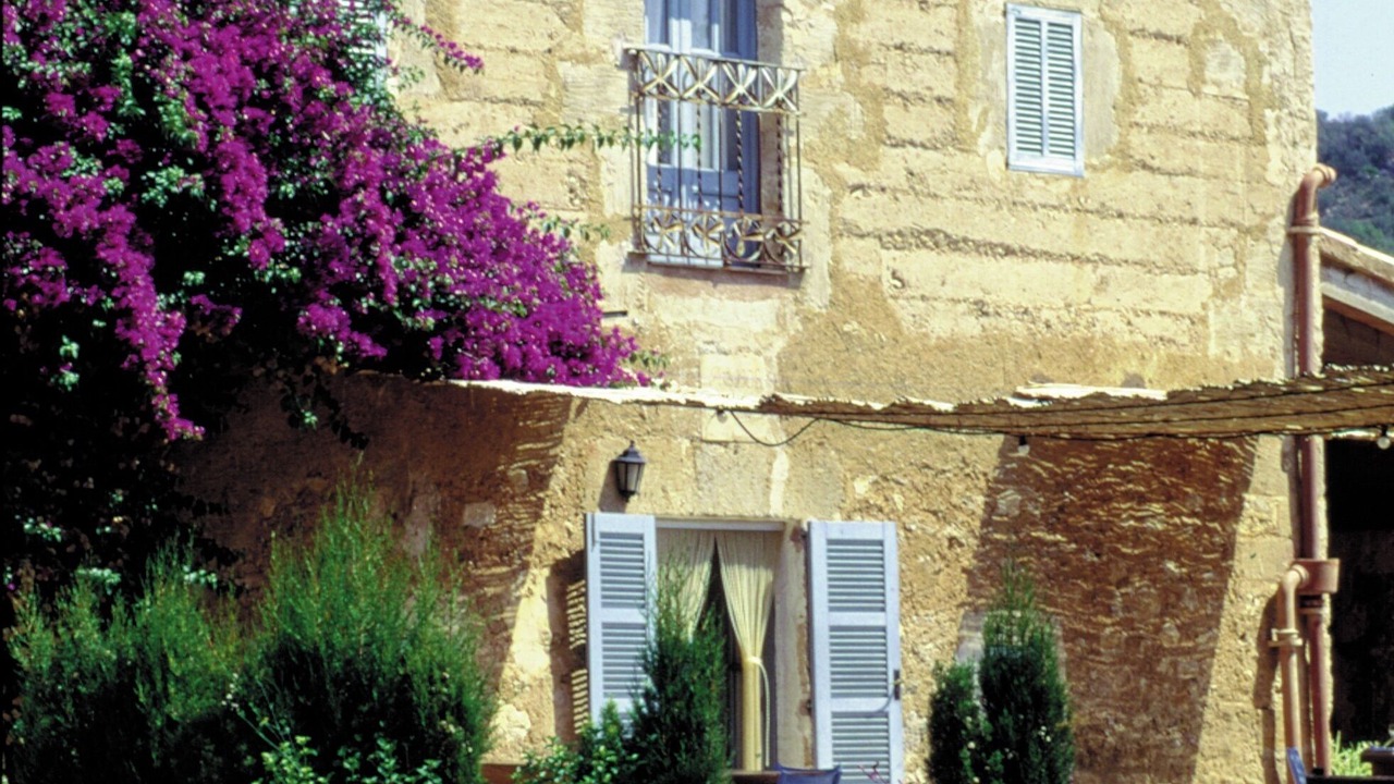 Photo of Outdoor in Manacor