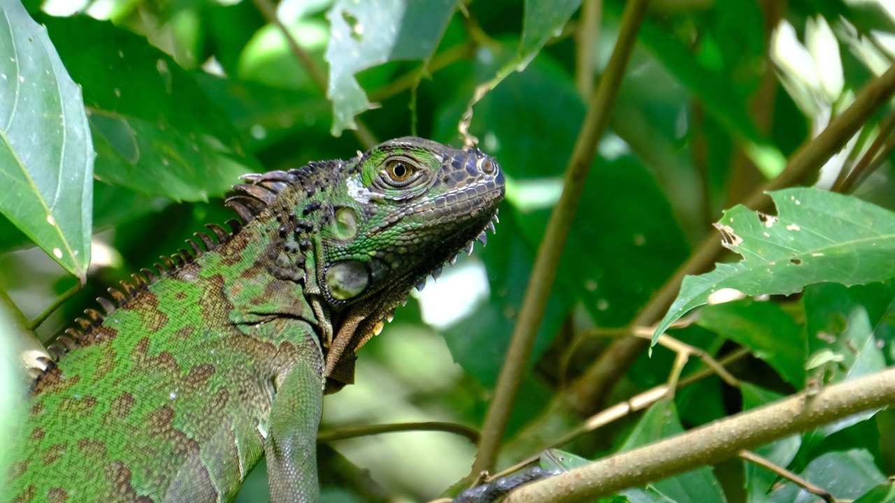 Photo of Outdoor in Las Horquetas