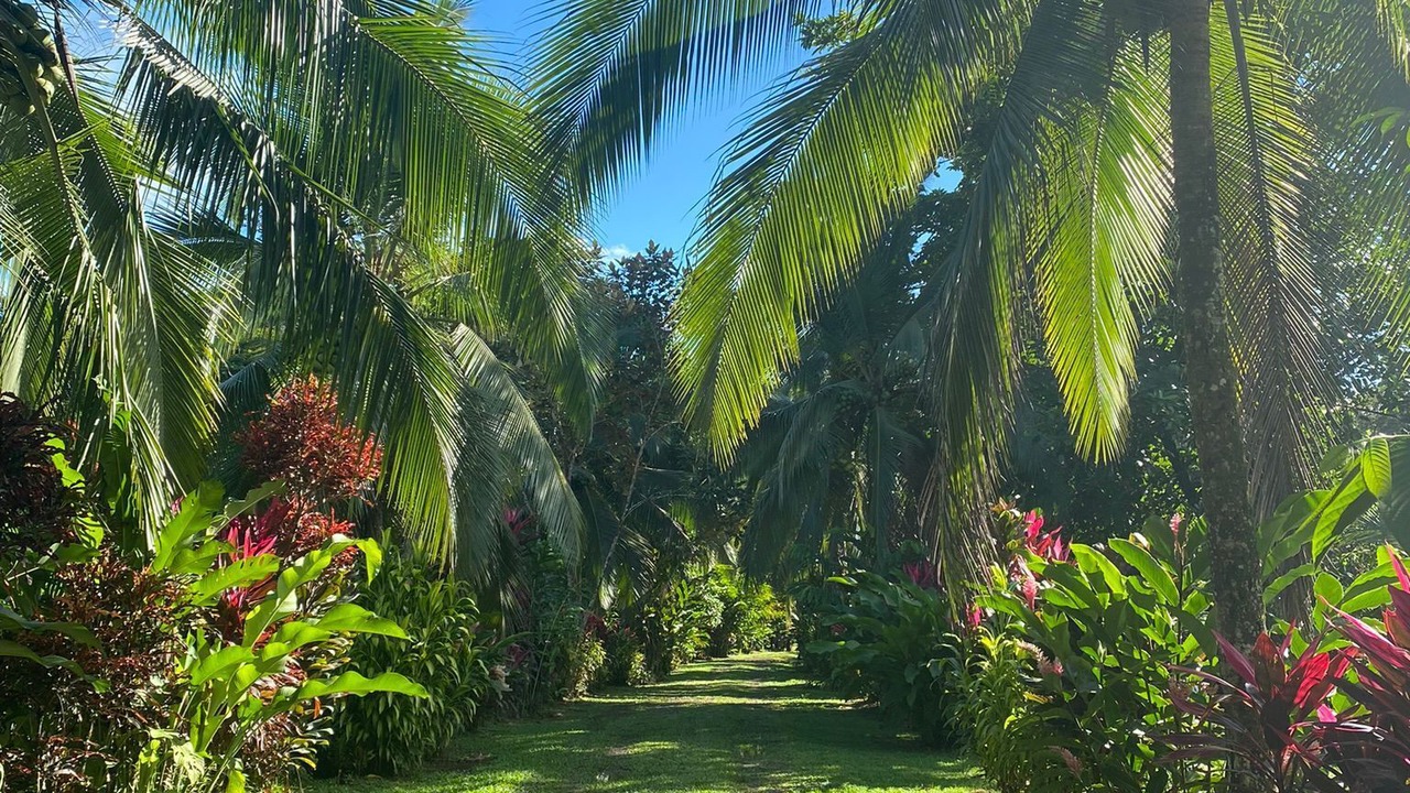 Photo of Outdoor in Las Horquetas