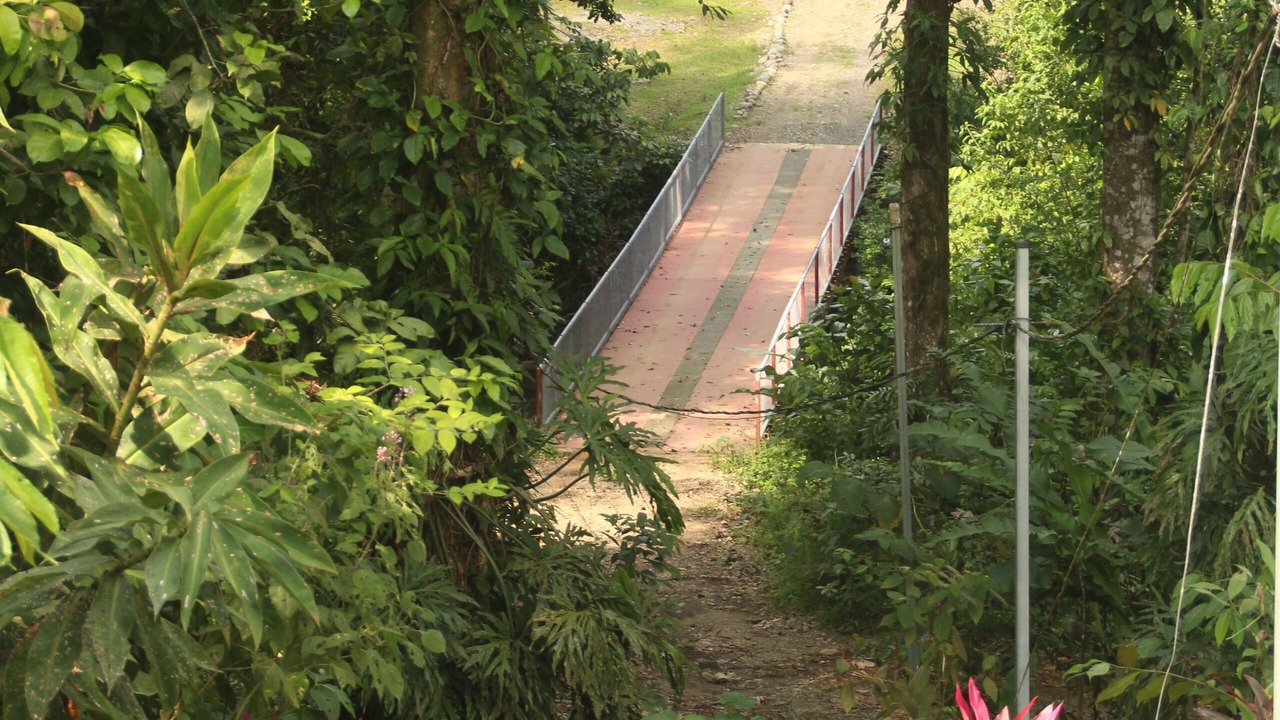 Photo of Outdoor in Las Horquetas