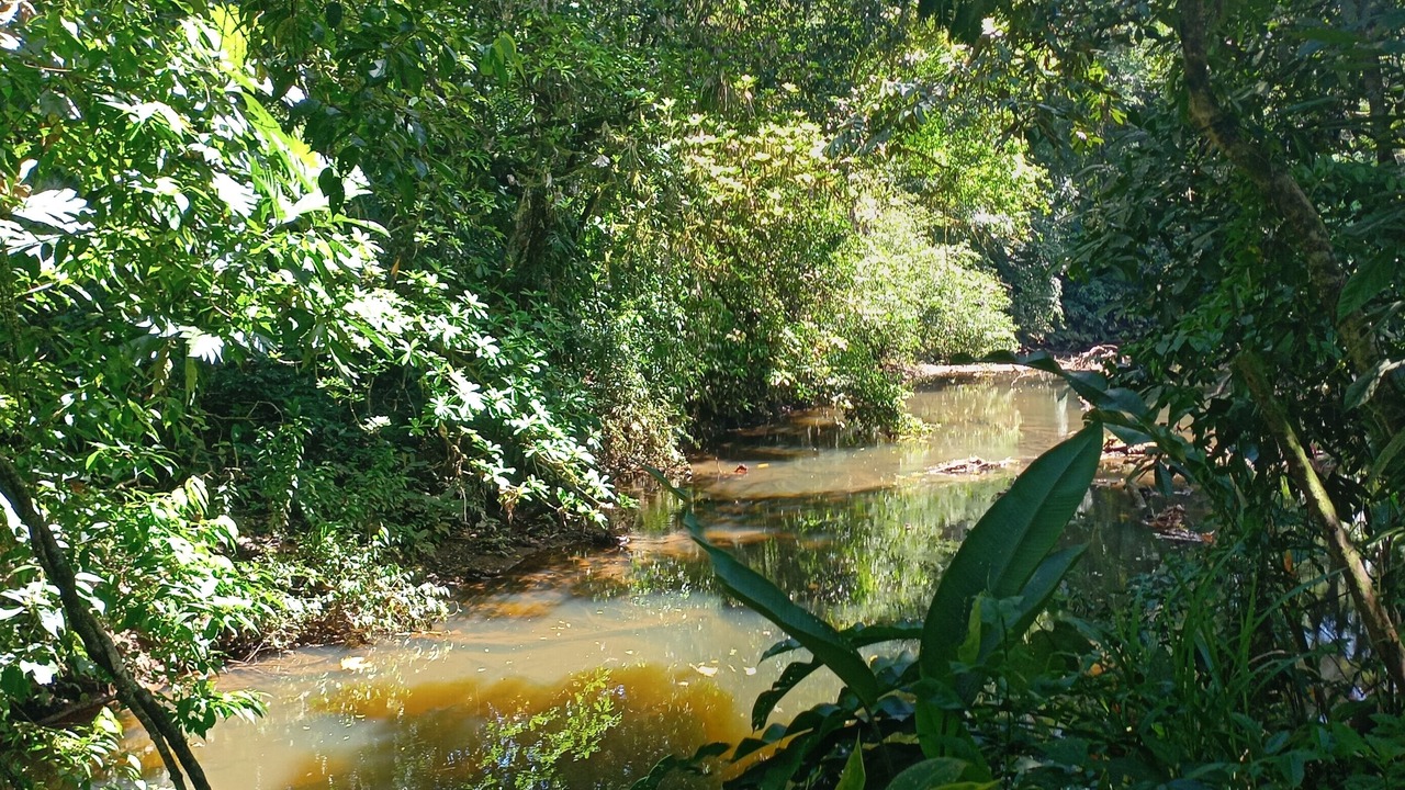 Photo of Outdoor in Las Horquetas