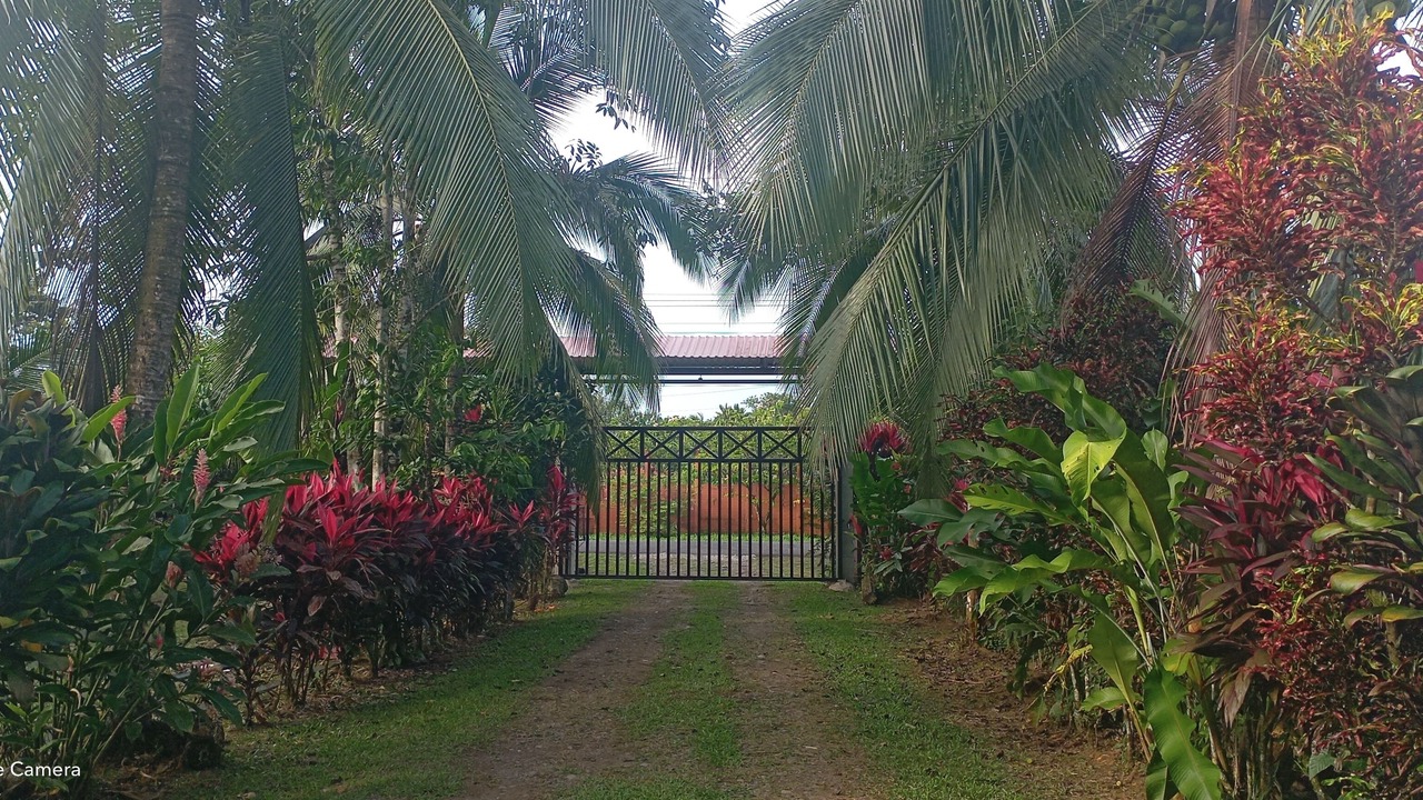 Photo of Outdoor in Las Horquetas