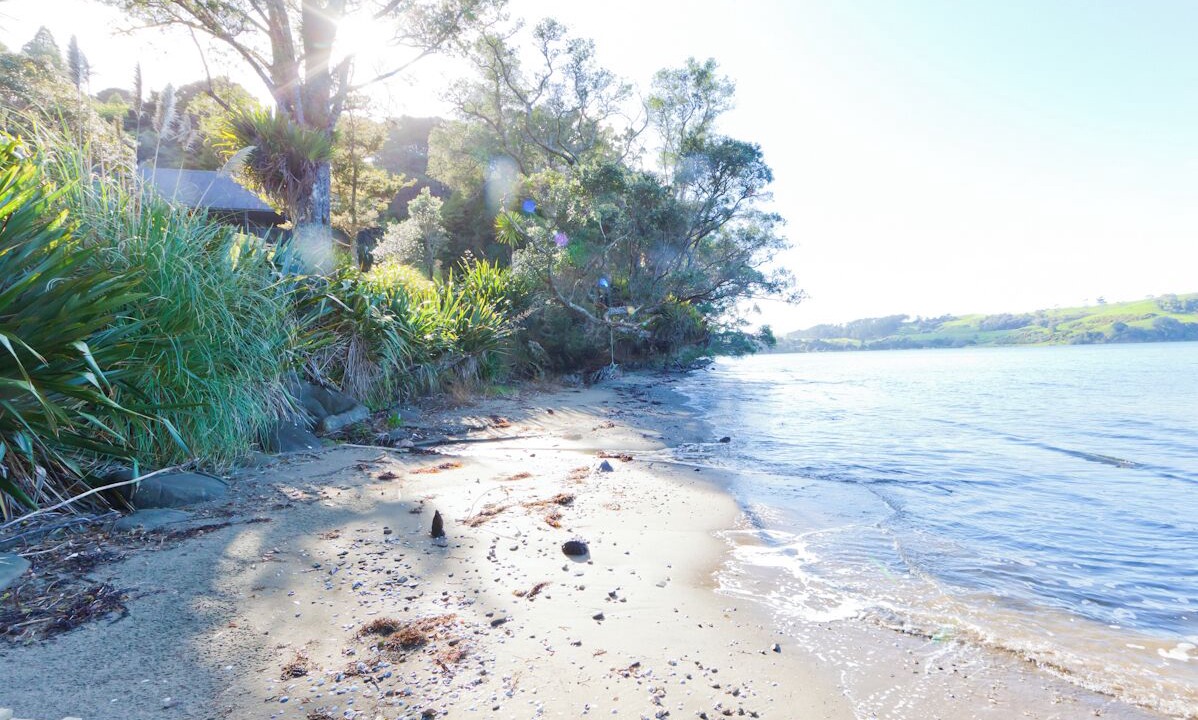 Photo of Others in Tawharanui