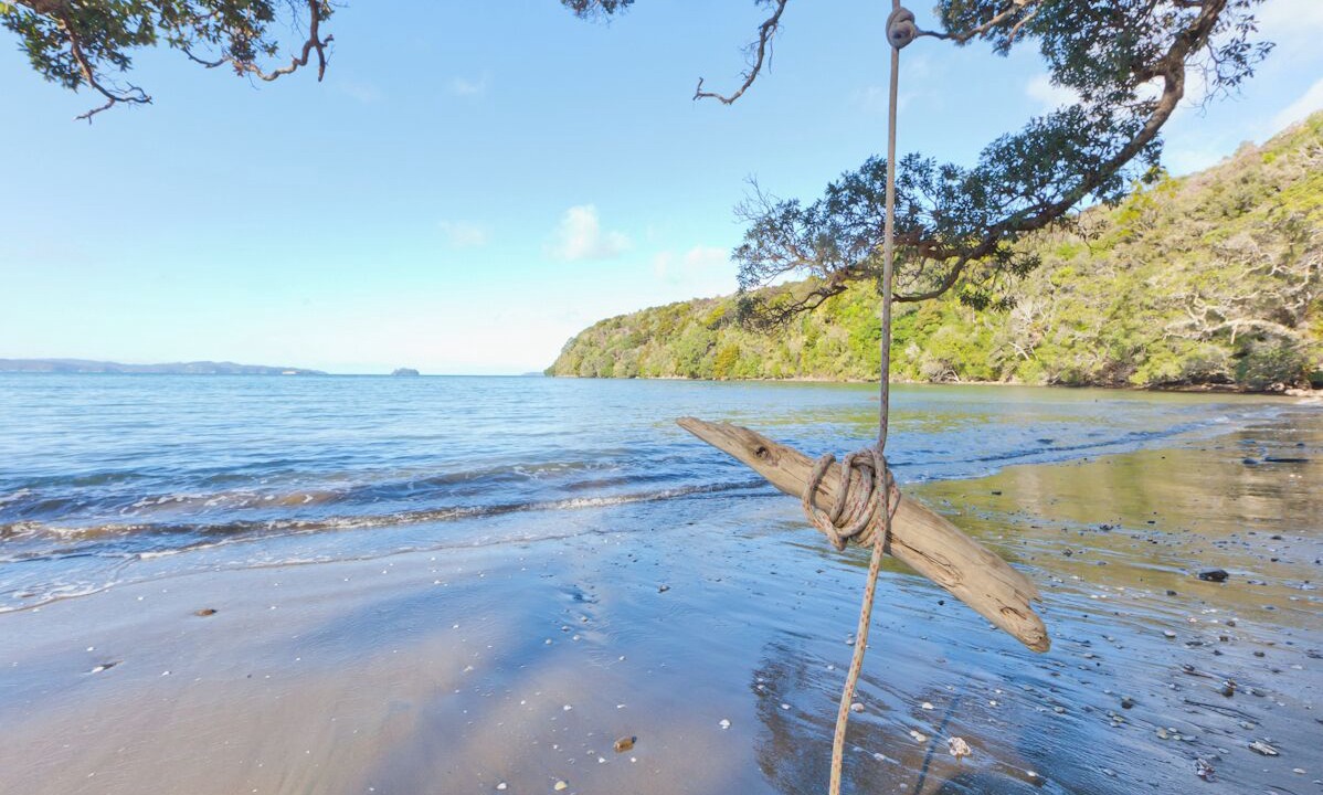 Photo of Others in Tawharanui