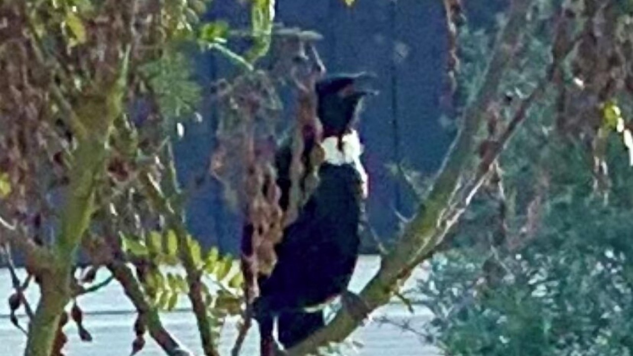 Photo of Outdoor in Te Anau
