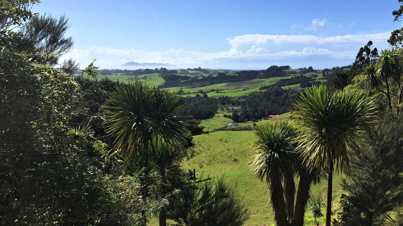 Photo of Outdoor in Mangawhai
