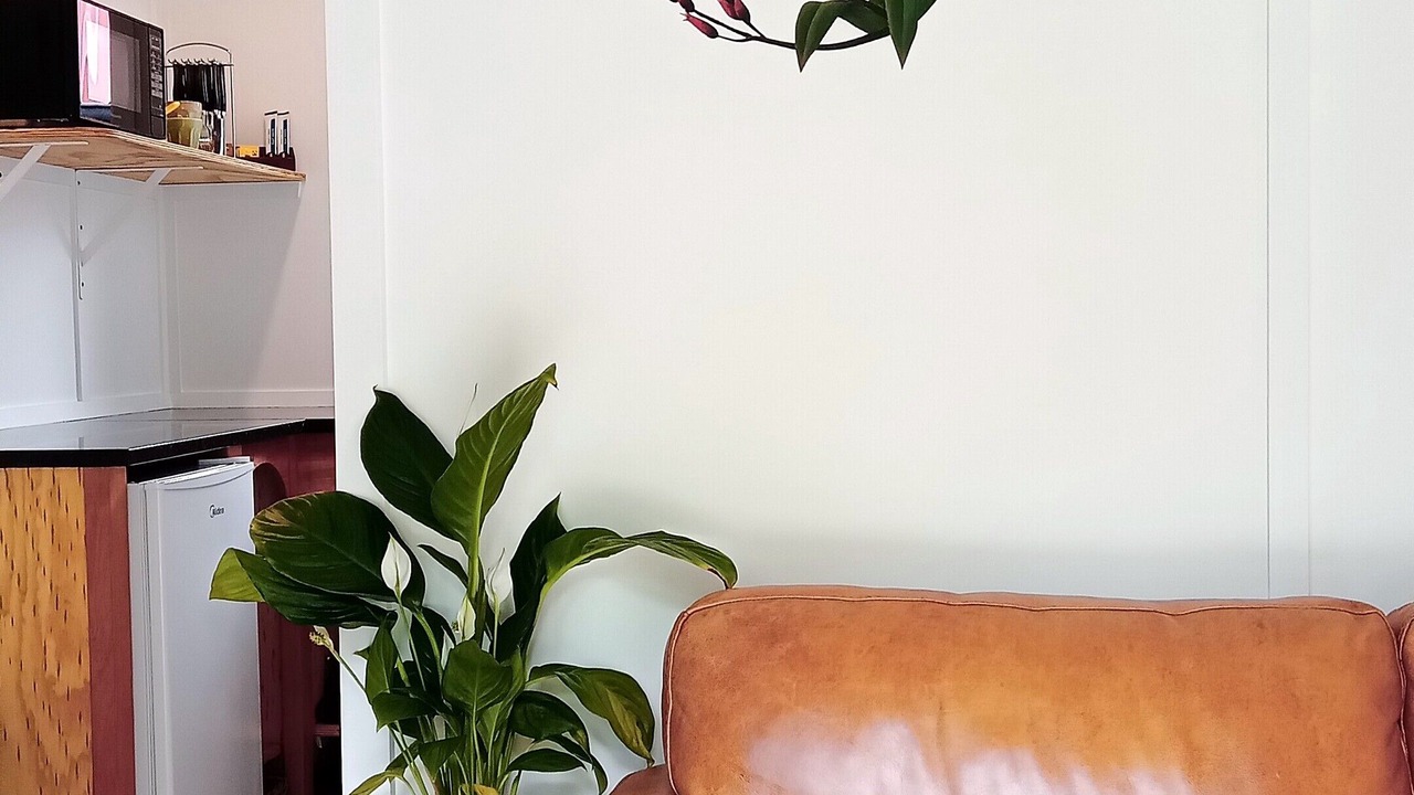 Photo of Livingroom in Mangawhai