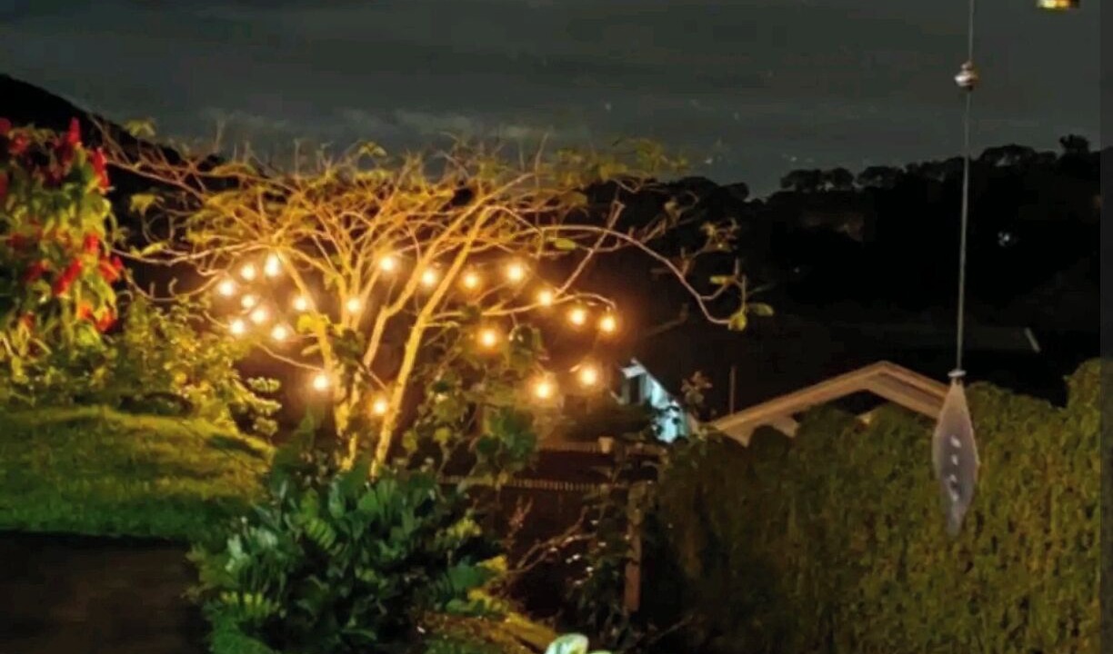 Photo of Outdoor in Desamparados