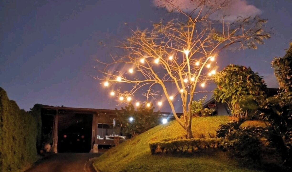 Photo of Outdoor in Desamparados