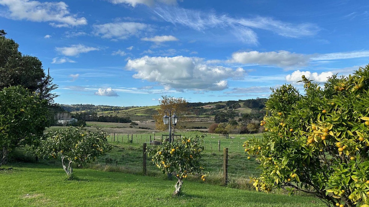 Photo of Outdoor in Whitford