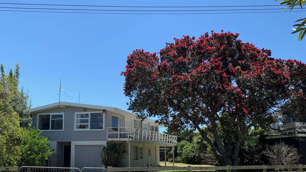 Photo of Outdoor in Matapouri