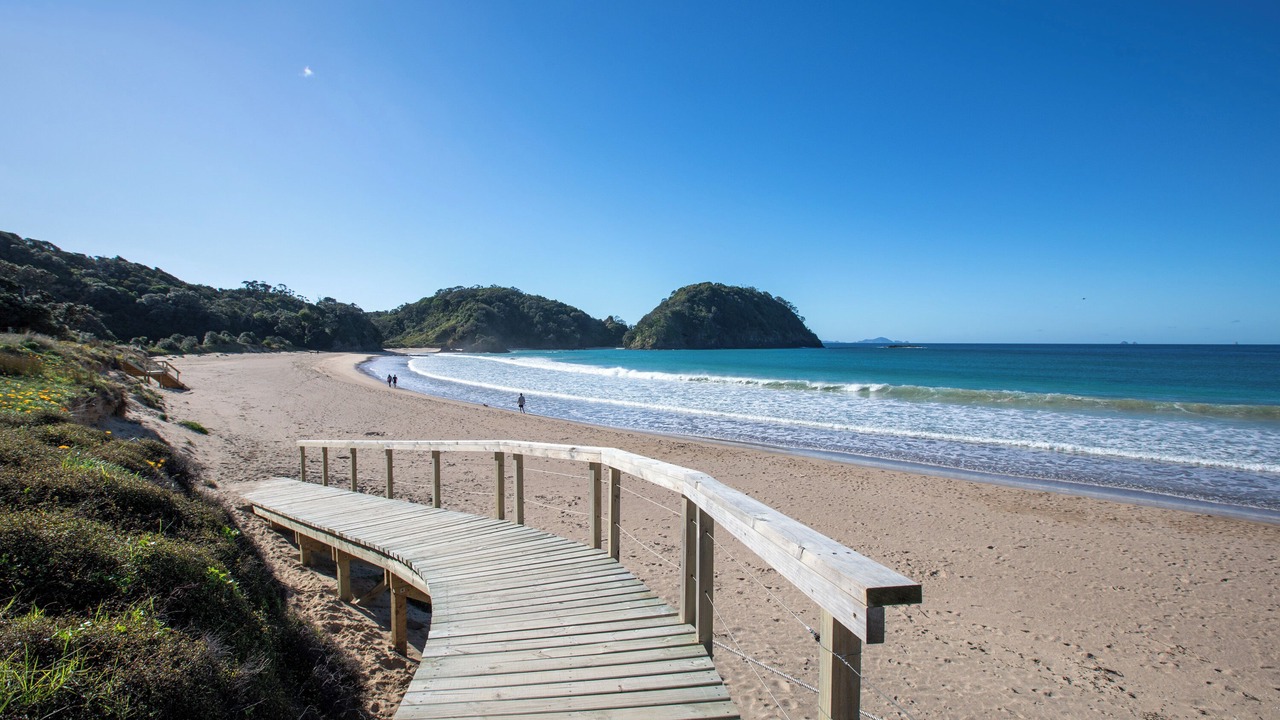 Photo of Others in Matapouri