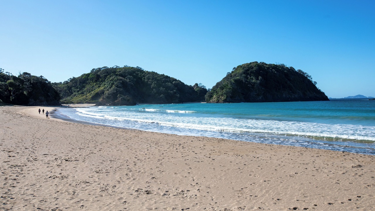 Photo of Others in Matapouri