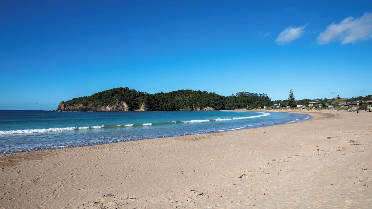 Photo of Others in Matapouri