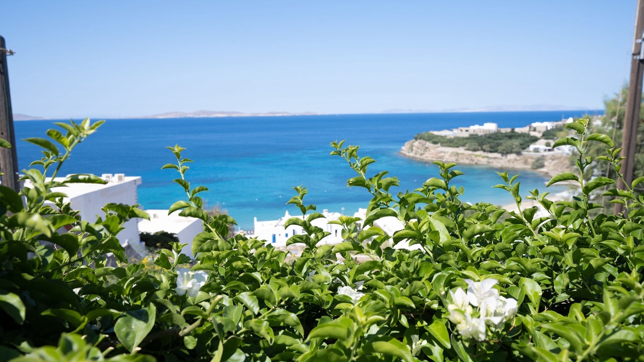 Photo of Outdoor in Agios Stefanos