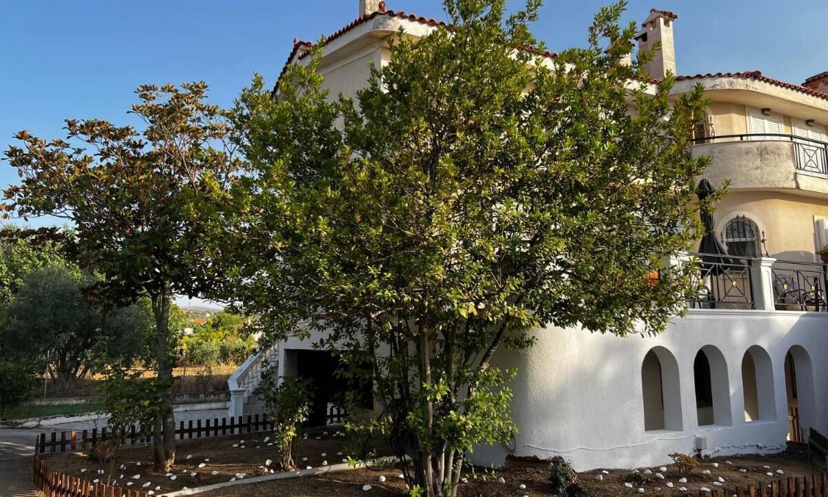 Photo of Outdoor in Oropos