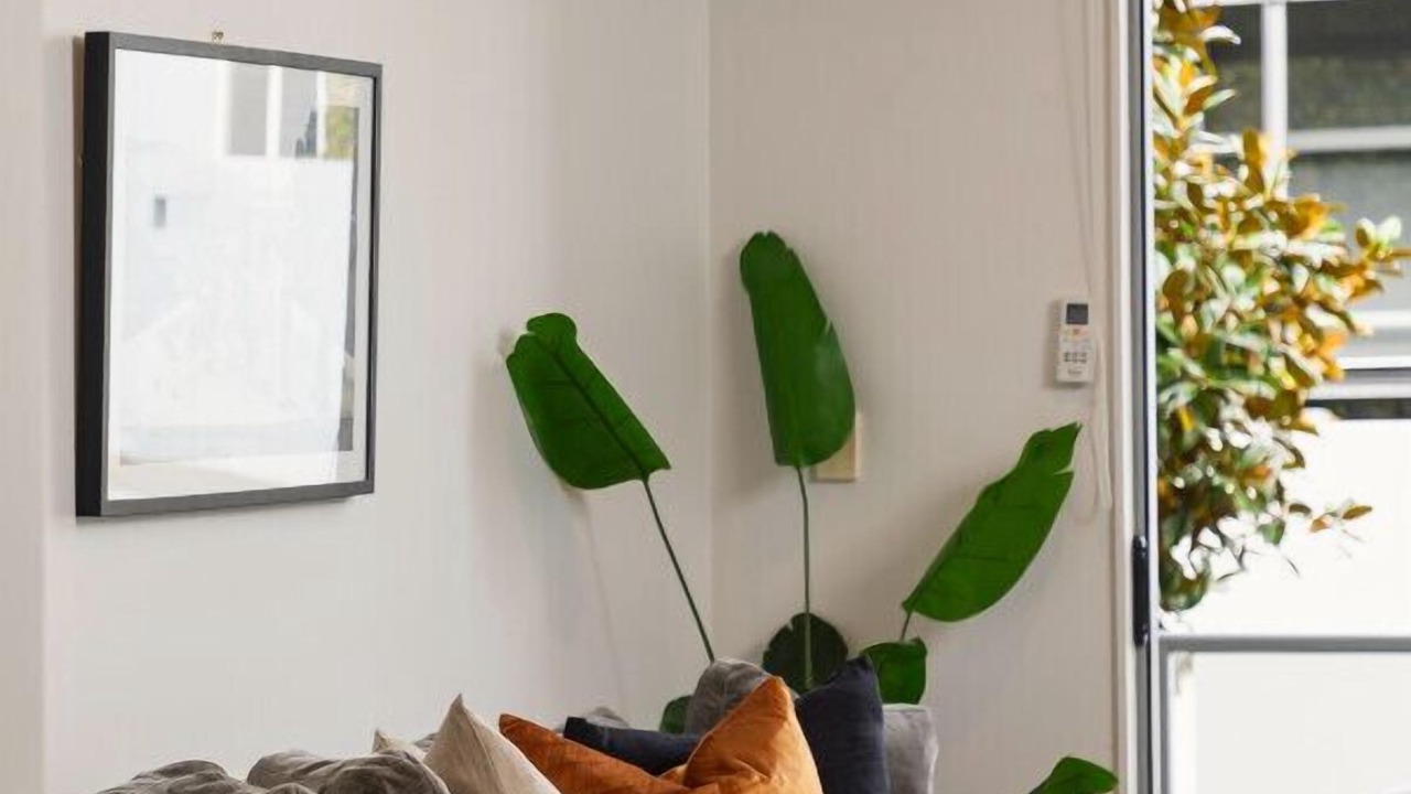 Photo of Livingroom in Freemans Bay