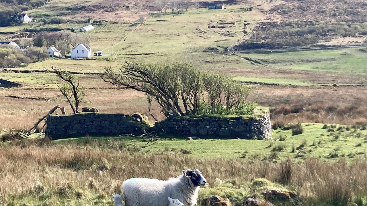 Photo of Outdoor in Colbost