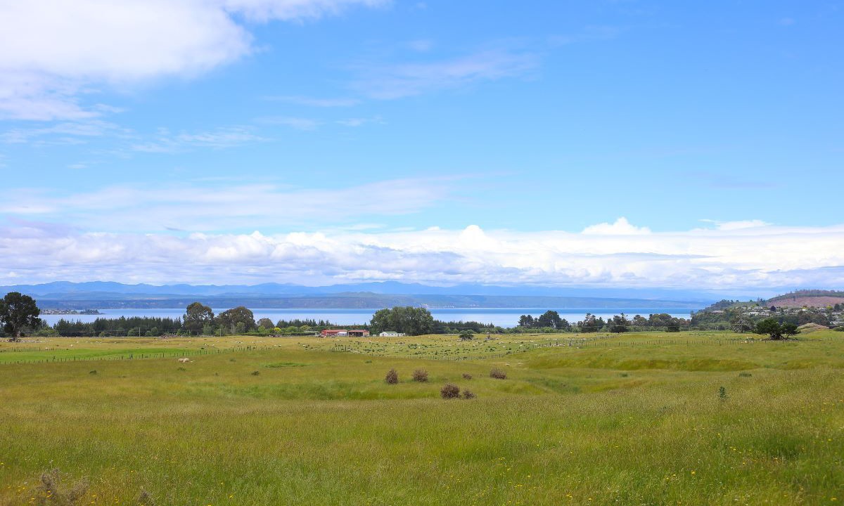 Photo of Others in Nukuhau