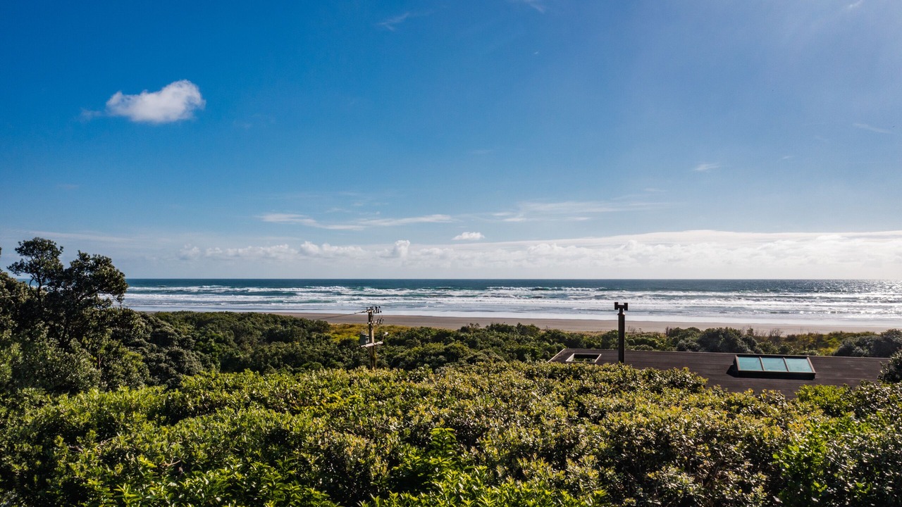 Photo of Others in Piha