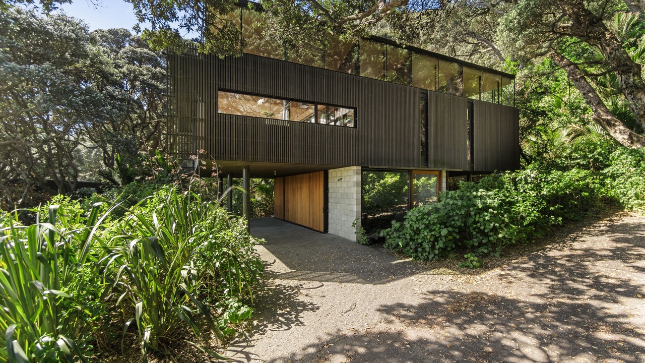 Photo of Outdoor in Piha