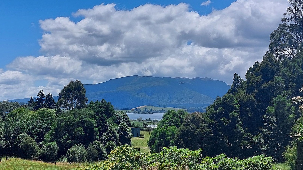Photo of Outdoor in Rerewhakaaitu